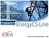 Право на использование программного обеспечения EnergyCS Line v.3, сетевая лицензия, серверная часть