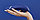Бесконтактный клиторальный стимулятор Womanizer Premium синий, фото 7