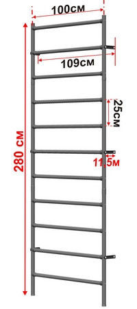 Шведская стенка 280 х 100 см Россия