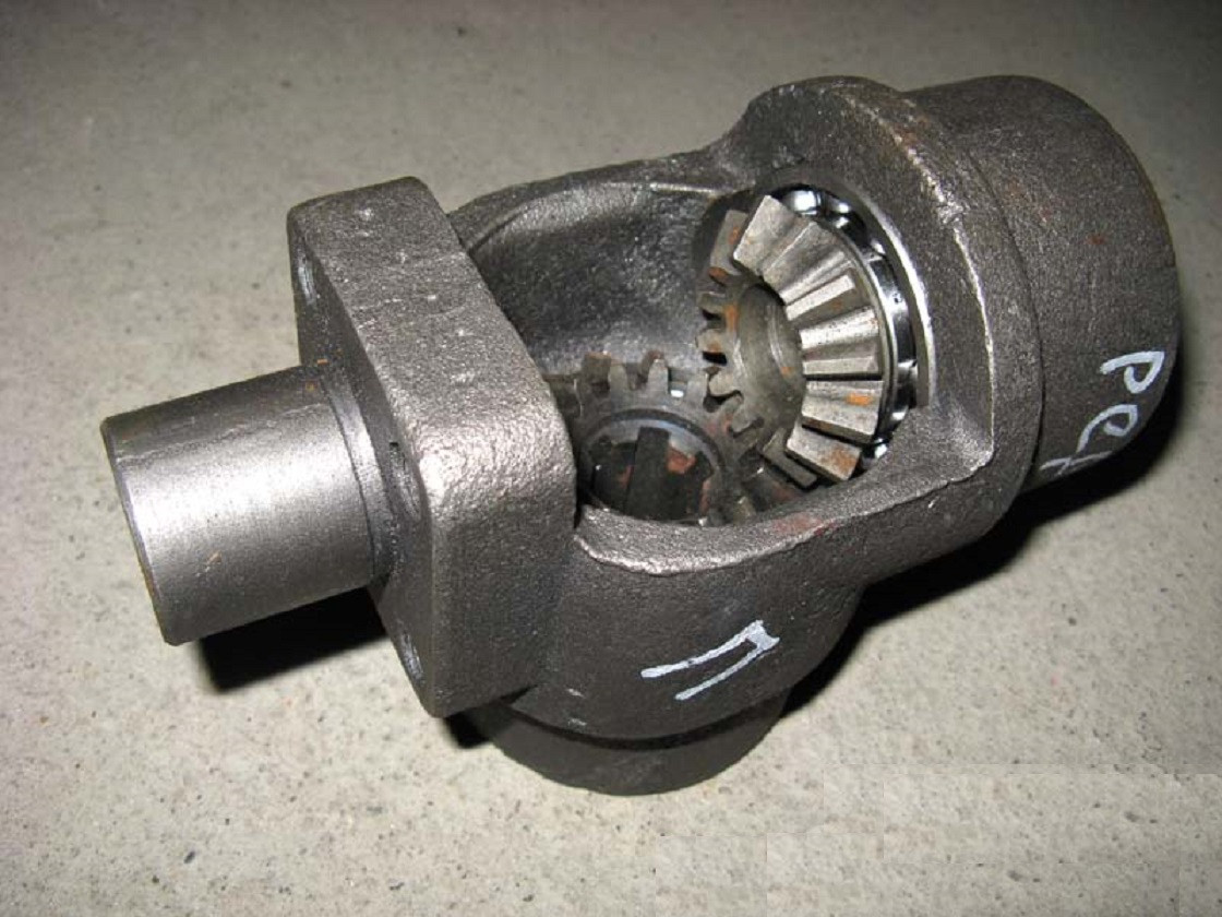 трусики эротика порно жоқ Догги стиліндегі кискалардың суреттері