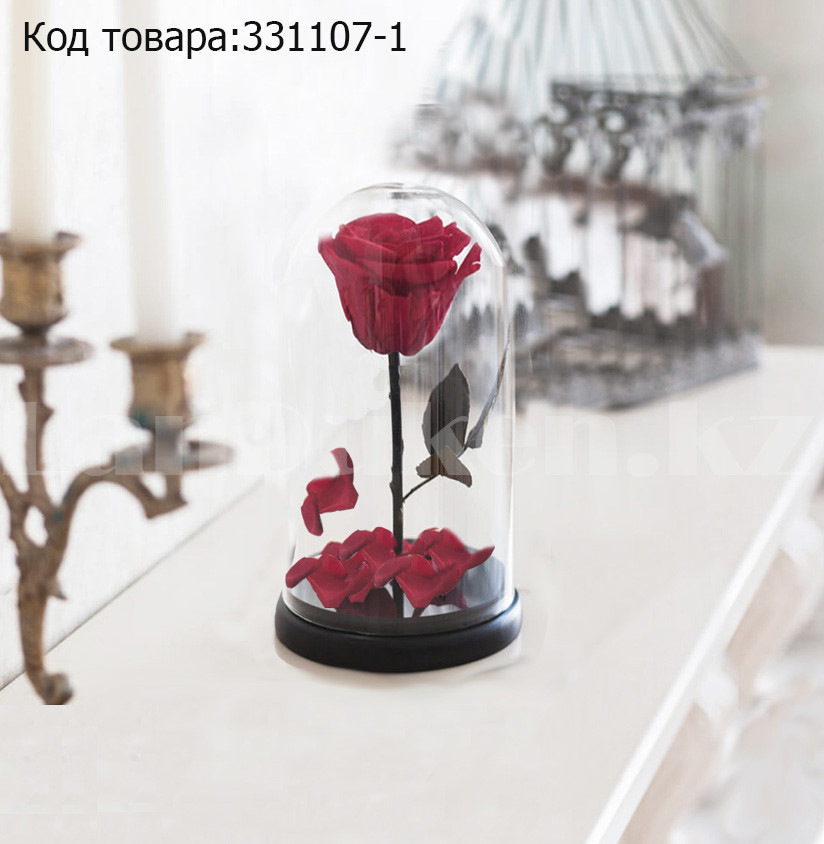 Роза в колбе долговечная из сказки Красавица и Чудовище маленькая высота 18 см