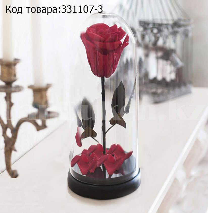 Роза в колбе долговечная из сказки Красавица и Чудовище маленькая высота 27 см