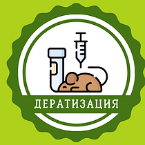 Дератизация