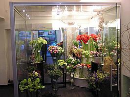 Цветочные  холодильные камеры и шкафы