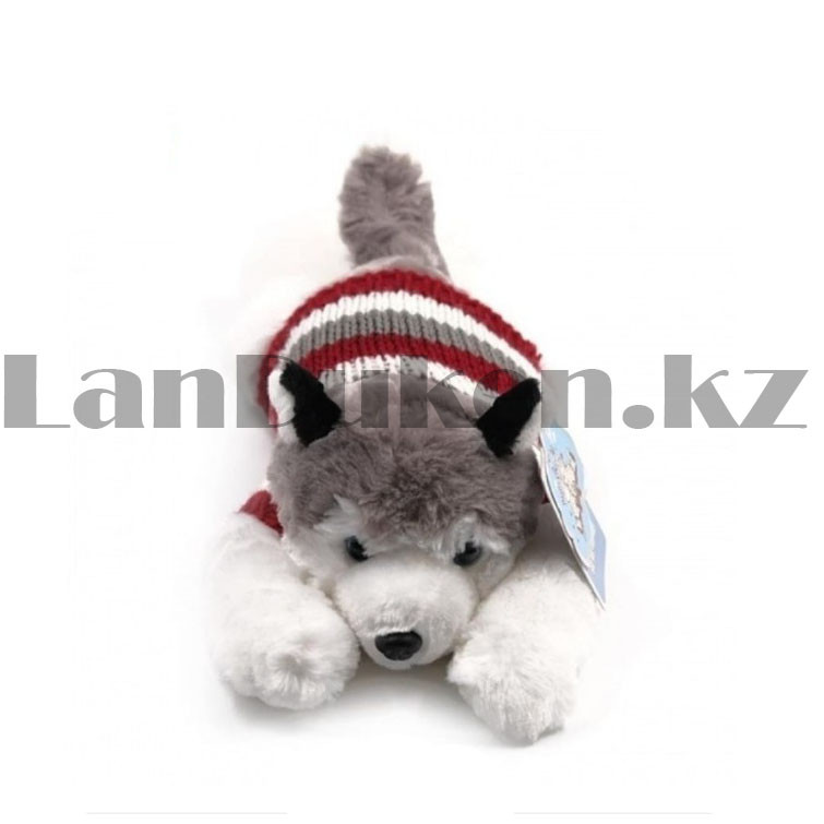 Мягкая игрушка собака Хаски маленькая в свитере 35см серая - фото 4 - id-p87658866