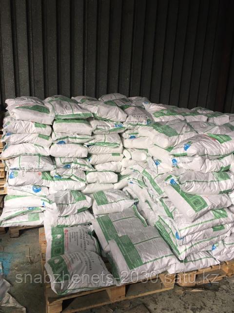 Амиша Пател порно видео