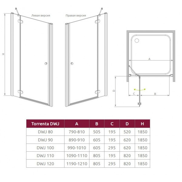 Дверь в нишу Radaway Torrenta DWJ 32020-01-01N - фото 3 - id-p87734045