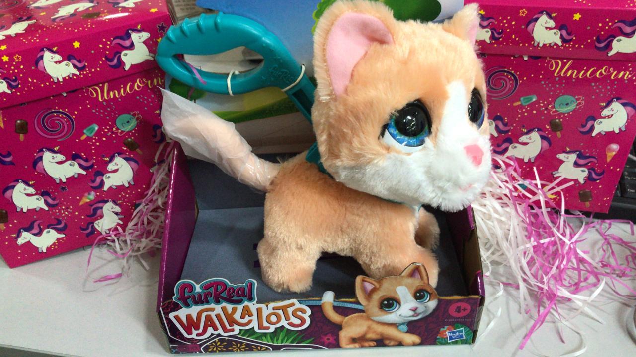 Котёнок интерактивный на поводке Furreal Friends WalkaLots