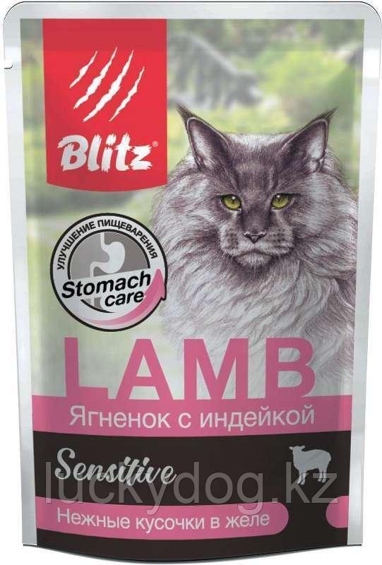 BLITZ Sensitive 85г Ягненок с индейкой влажный корм нежные кусочки в желе для кошек - фото 2 - id-p87763801