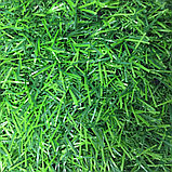 Искусственный газон монофиламент 40мм, фото 3