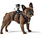 Крепление-упряжка для собак GoPro Fetch Dog Harness, фото 5