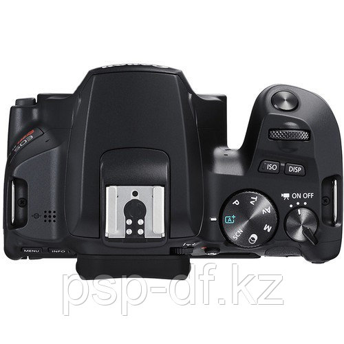 Фотоаппарат Canon EOS 250D kit 18-55mm f/3.5-5.6 III - фото 3 - id-p66478816