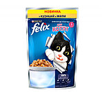 Felix с курицей в желе для котят, аппетитные кусочки