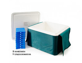 Термоконтейнер ТМ-25 (В комплекте 9 хладоэлемента)