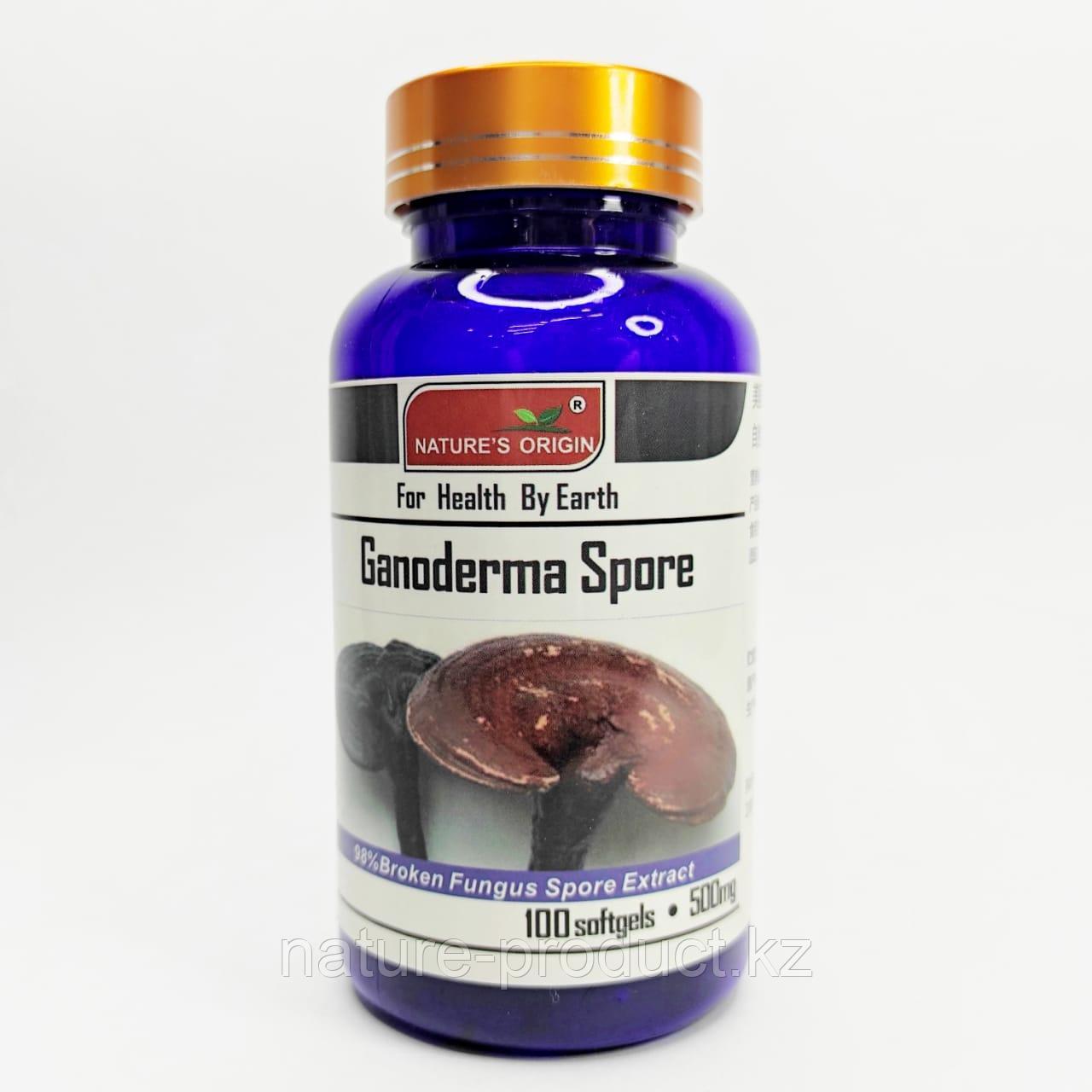 Ганодерма Линчжи Ganoderma Spore 100 капсул 500 мг. Natures Origin
