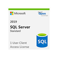 Операционная система Microsoft SQLCAL 2019 SNGL OLP NL UsrCAL 359-06866 (Windows Server 2019)