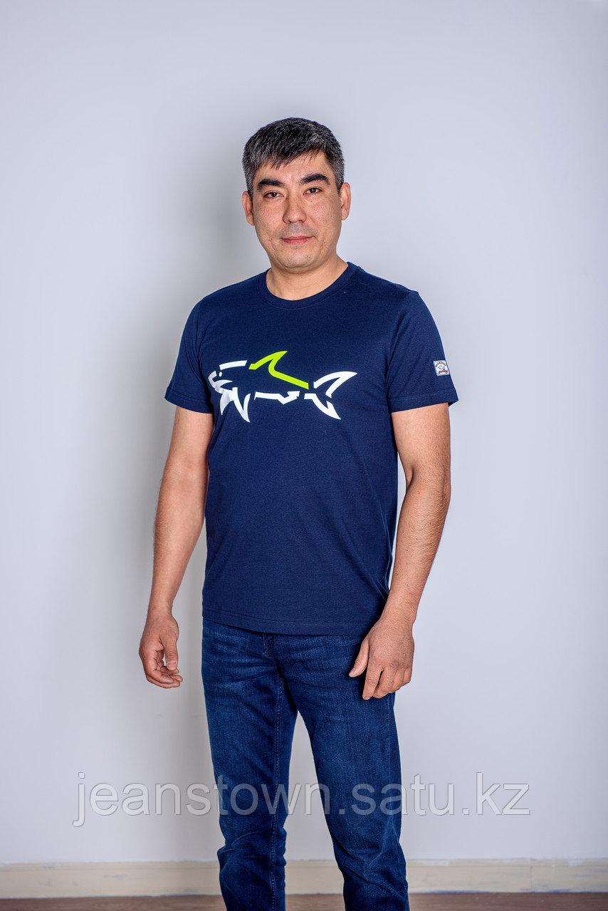 Футболка мужская Paul&Shark синия