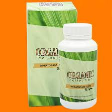 Wheatgrass (витграсс) – витграсс для похудения