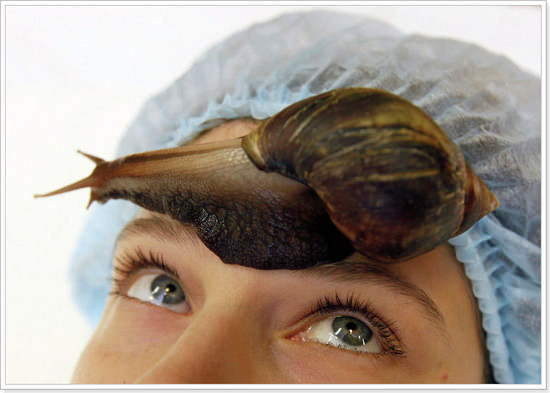 Snail Farm (Снейл Фарм) - средство от морщин
