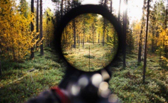 Hunt Expert приманка для охоты на копытных