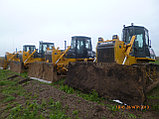 Бульдозеры SHANTUI SD16-22-23-32 в количестве 10 штук, фото 8