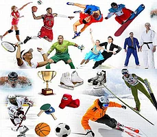 Виды спорта