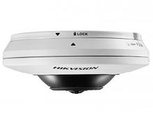 IP-камеры FishEye
