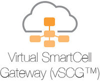 Виртуальный SmartCell Gateway (vSCG)
