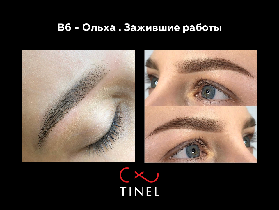 В6 - пигмент «Ольха» для перманентного макияжа бровей 10мл - фото 4 - id-p85332306