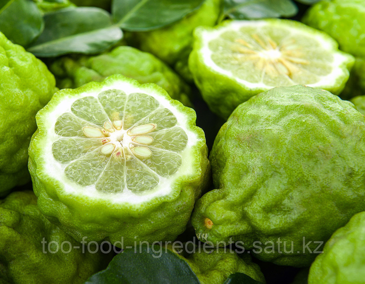 Померанец бергамот. Листья бергамота. Бергамот растение. Бергамот бергамия. Бергамот на что похож.