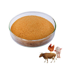 Животные белки