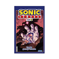 Кітап "Sonic. Доктор Эггманның тағдыры. Комикс. 2 том (Diamond Dust және Сыендуктан аударма)" Флинн Ю.