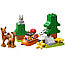 LEGO DUPLO 10907 Конструктор ЛЕГО ДУПЛО Животные мира, фото 3