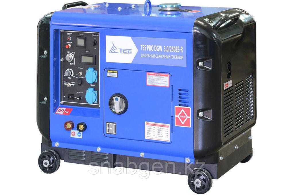 Дизельный сварочный генератор в кожухе TSS PRO DGW 3.0/250ES-R - фото 1 - id-p88227713