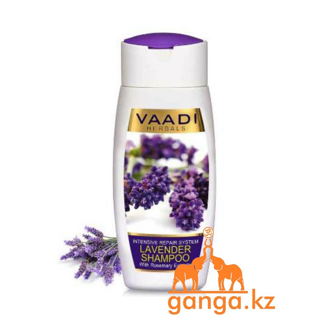 Шампунь с лавандой и экстрактом розмарина (Lavender shampoo with rosemary shampoo VAADI Herbals), 110 мл