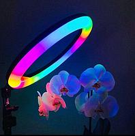 +ПОДАРКИ! Кольцевые Лампы 26 см Цветная разноцветная RGB LED