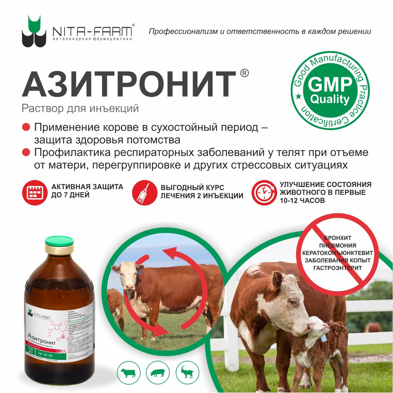 левофлоксацин ветеринарный. азитронит 100 мл (нита-фарм). азитронит 100 мл инструкция. азитронит 20 мл. азитронит 100 мл (нита-фарм).