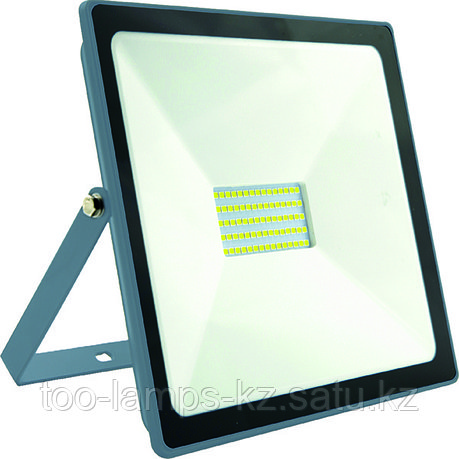Прожектор светодиодный INDUS/50W/SMD/6000K/IP65/220V, фото 2