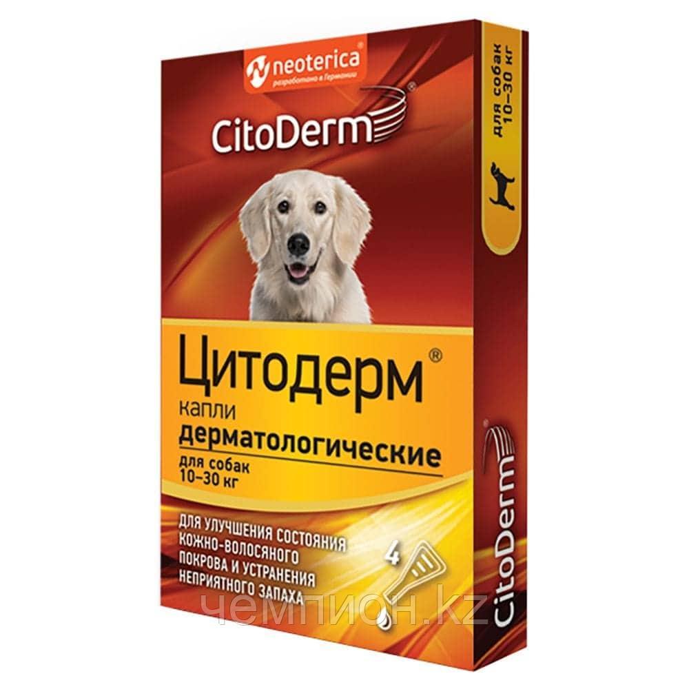 Цитодерм, капли дерматологические для собак массой от 10 до 30 кг, уп.4 пипетки - фото 1 - id-p88360511