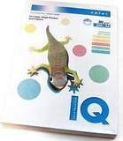 Бумага IQ color А4, 80 г/м, 250 л. (5цв.x50л.), цветная пастель