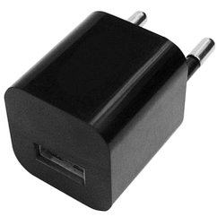 Зарядка USB 220В Ritmix RM-111 AC, черный