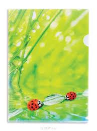Папка-уголок Ladybird, цвет салатовый Berlingo