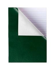 Тетрадь "Hatber NN", 96 листов, А4, линия, обложка бумвинил, на скобе, серия "Зелёная"