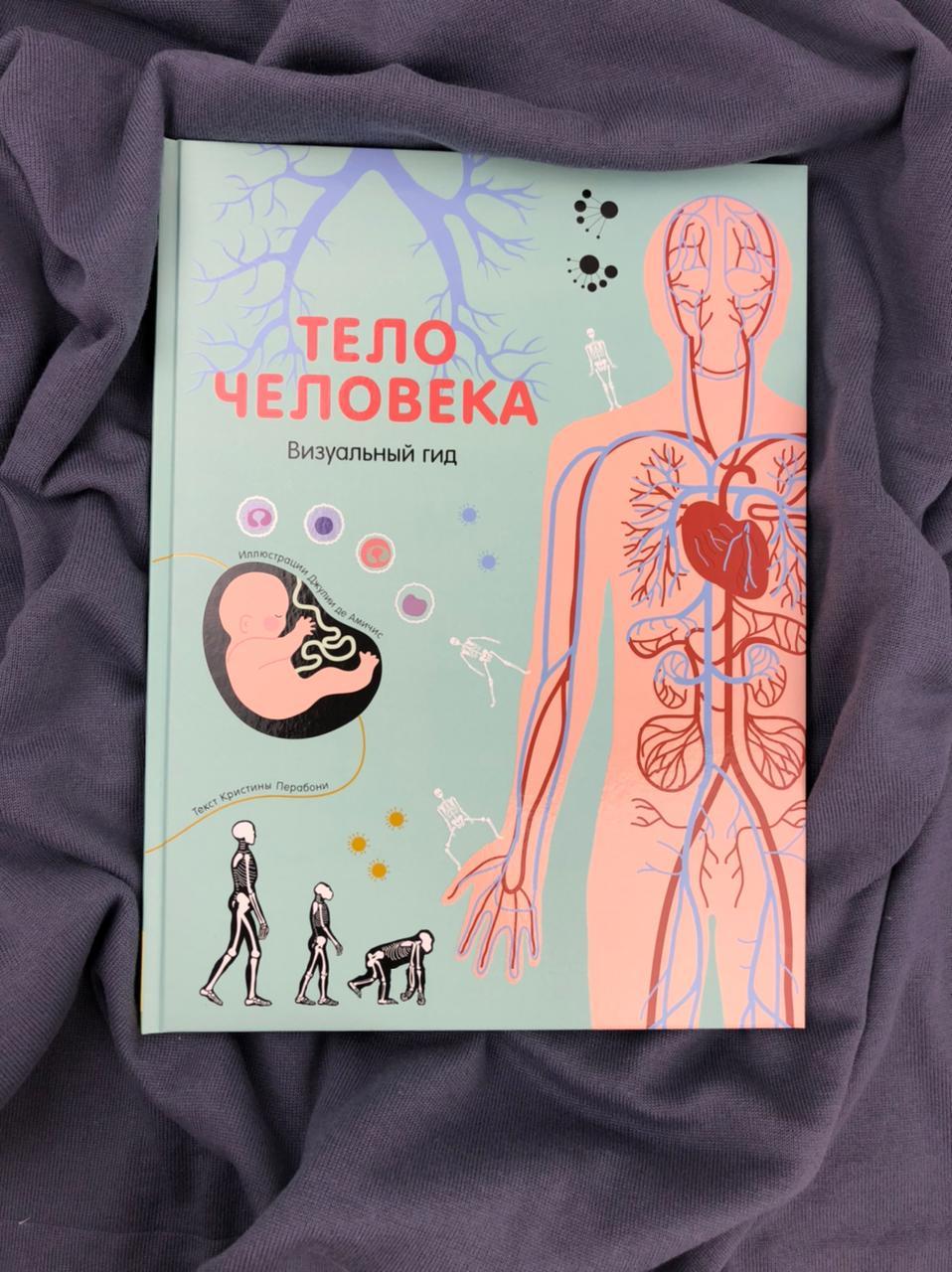 Тело человека. Визуальный гид.