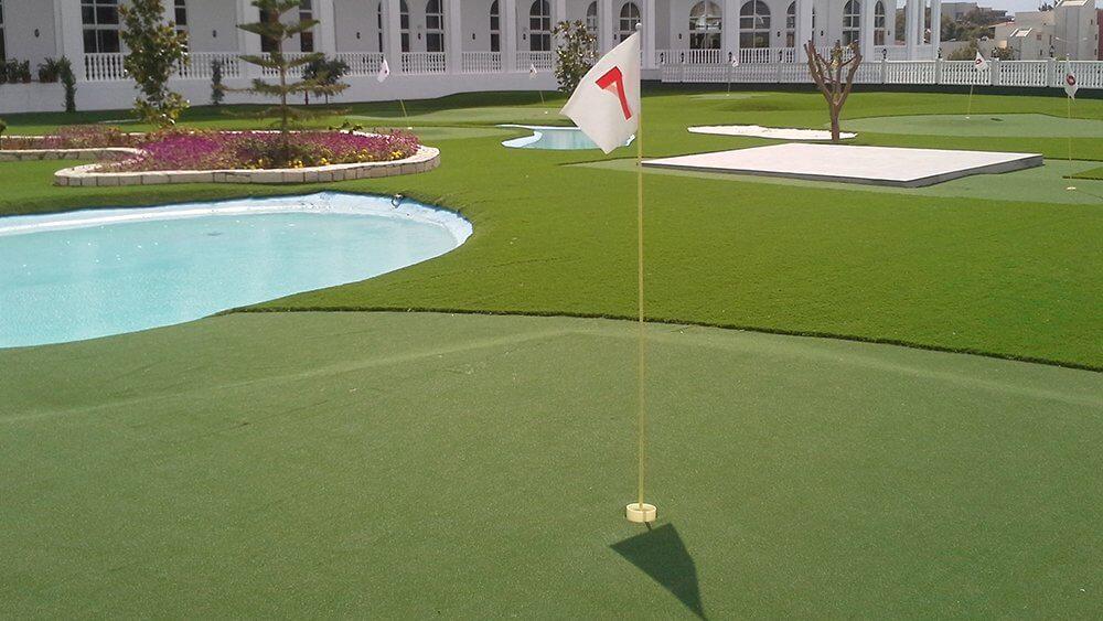 PUTTING GREEN GRASS