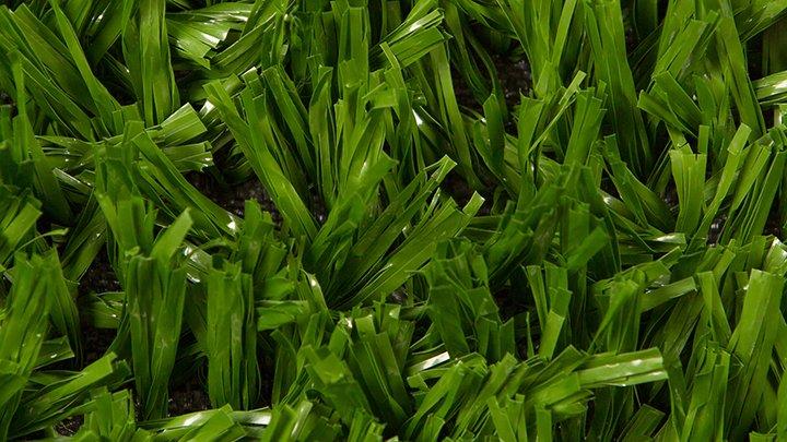 SANDY GRASS