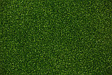 TENNIS GRASS, фото 2
