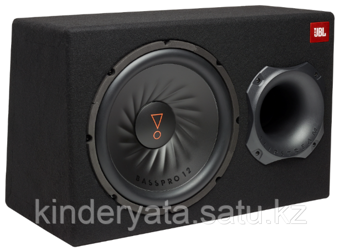 Сабвуфер JBL BassPro 12