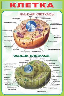 Brazzers-тен ашық ауада секс Лицать сперму из письки порно