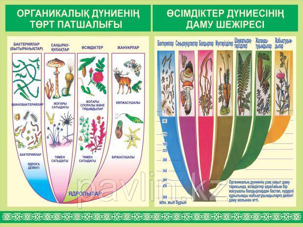 ЖИТС-тен қайтыс болған порно жұлдыздар Нижний Новгородтағы жезөкшелер, құрбы қыздар